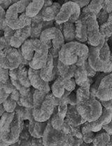 King Cole Funny Yummy Grey (4151) chenille yarn - 100g